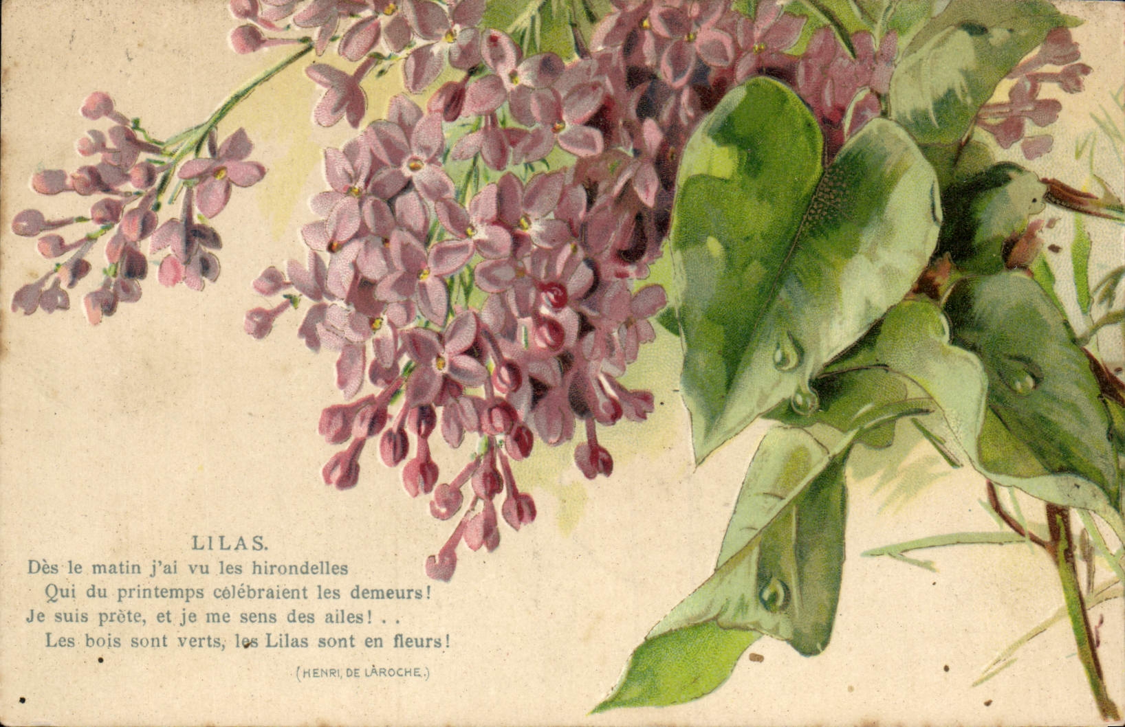 CPA Fantaisie Fleurs Lilas