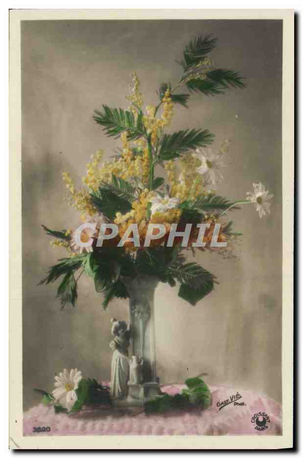 CPA Fantaisie Fleurs 