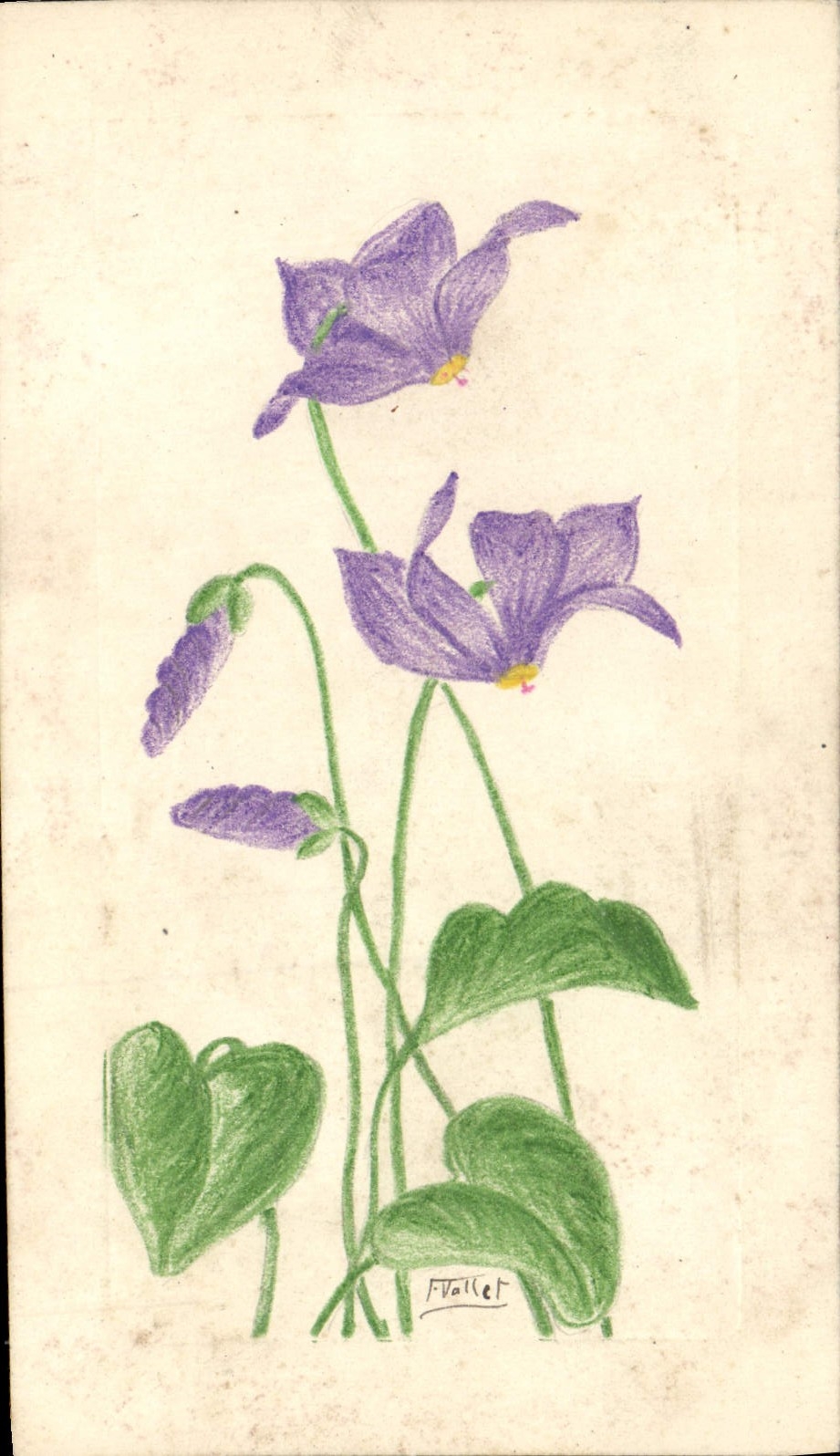 CPA Fantaisie Fleurs 