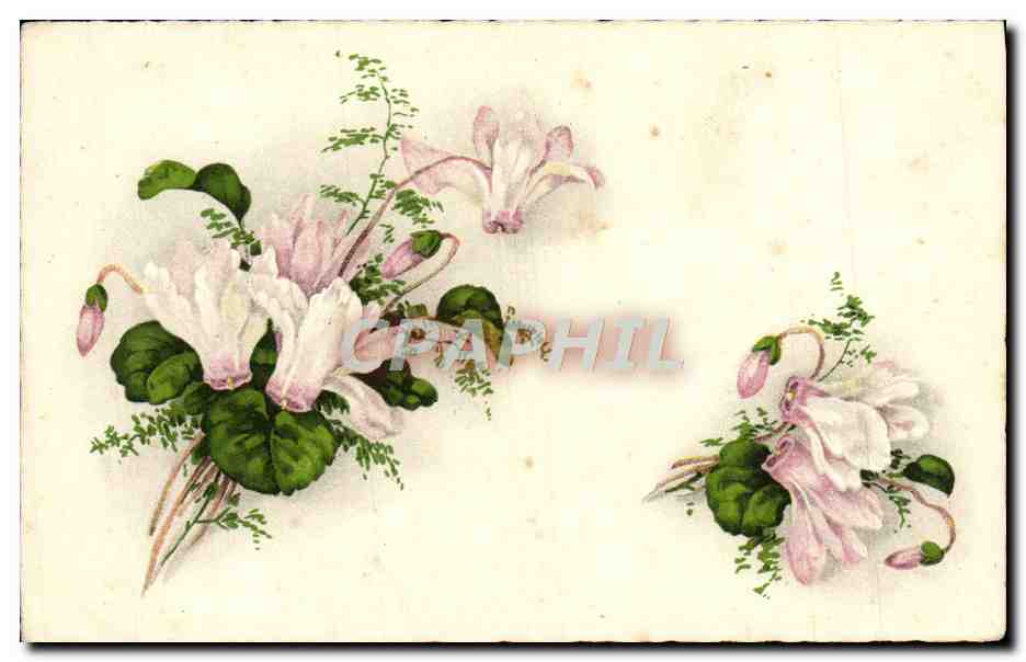 CPA Fantaisie Fleurs 