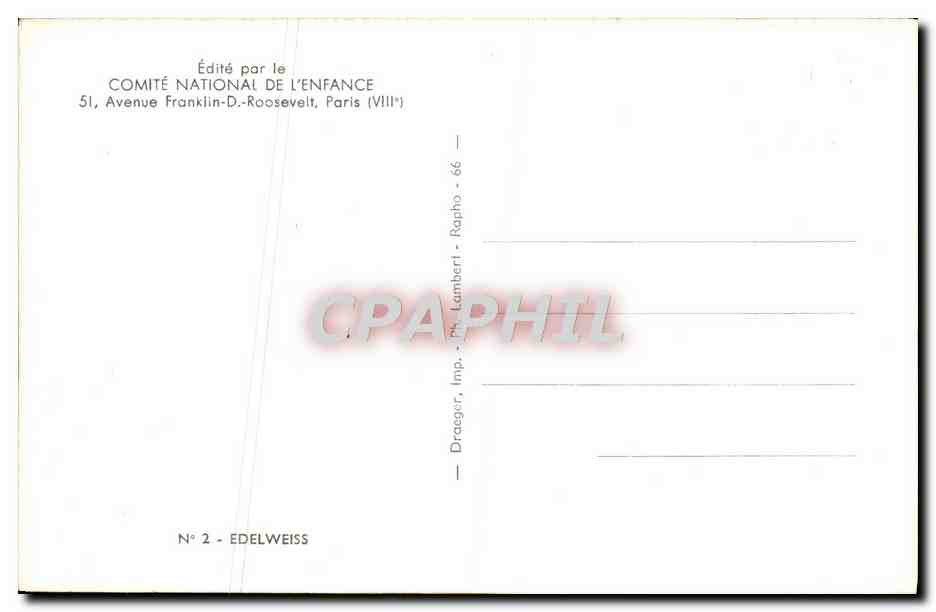 CPM Fantaisie Fleurs Edelweiss — Verso