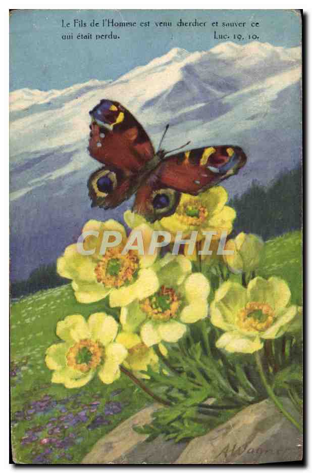 CPA Fantaisie Fleurs Papillon
