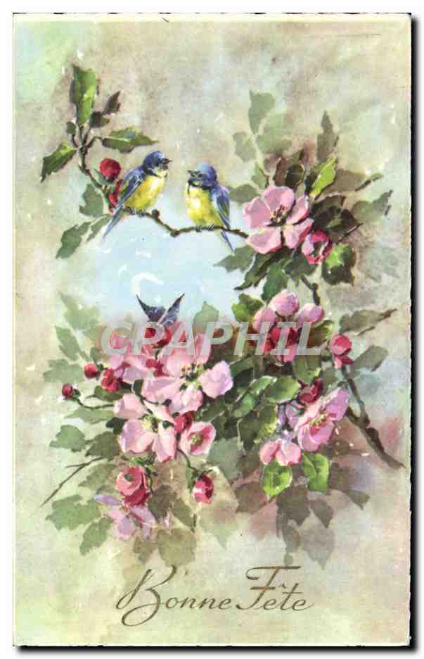 CPA Fantaisie Fleurs Oiseaux