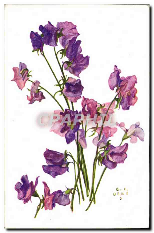 CPA Fantaisie Fleurs 