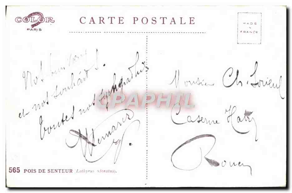 CPA Fantaisie Fleurs  — Rückseite