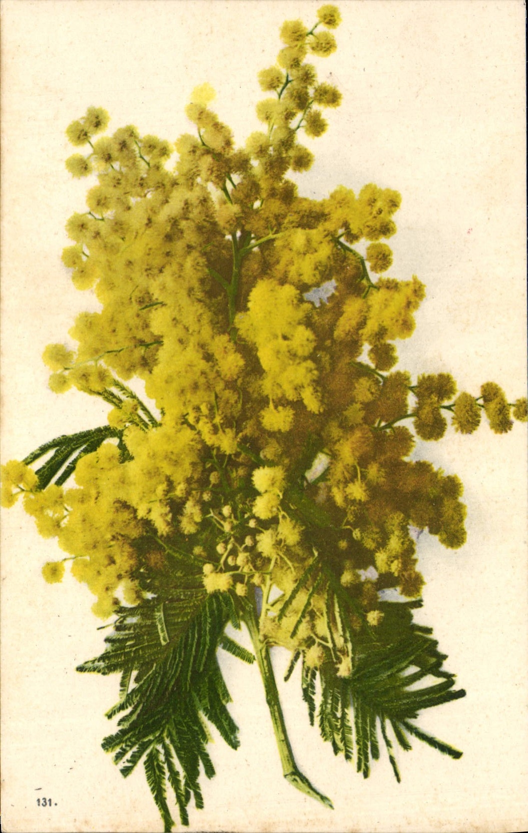 CPA Fantaisie Fleurs 