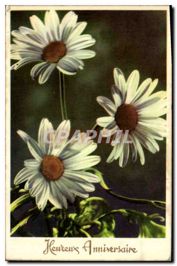 CPA Fantaisie Fleurs 