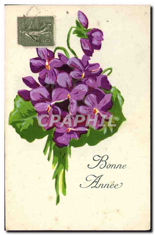 CPA Fantaisie Fleurs 
