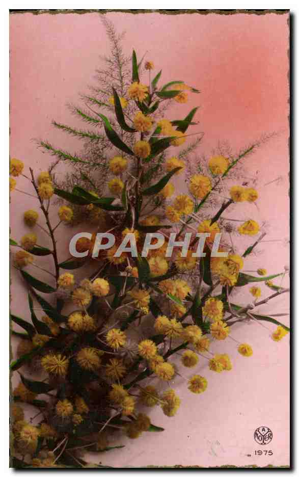 CPA Fantaisie Fleurs 