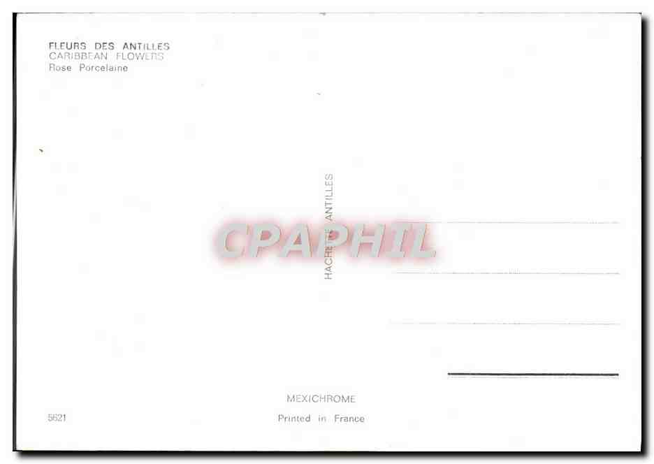CPM Fantaisie Fleurs Rose porcelaine — Verso