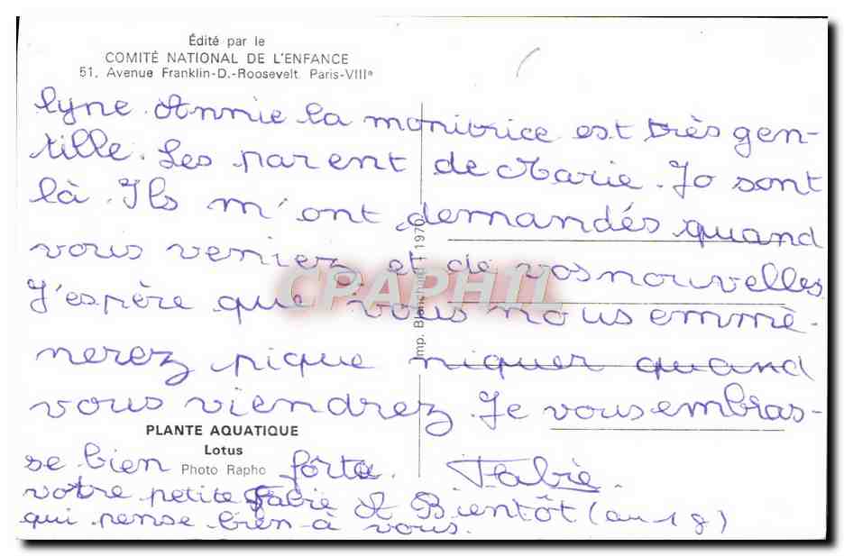 CPM Fantaisie Fleurs Plante aquatique Lotus  — Rückseite