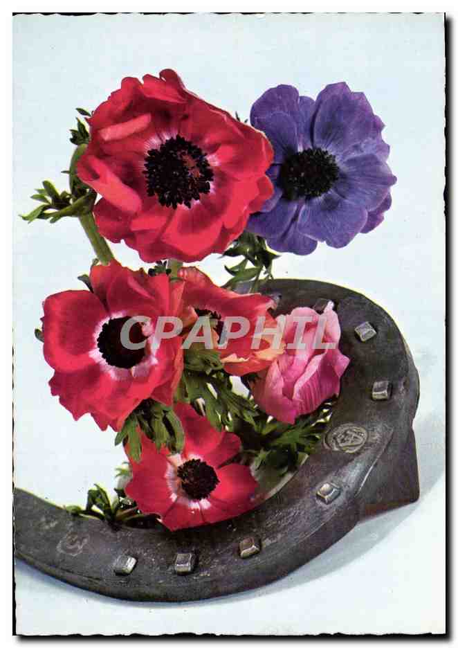 CPM Fantaisie Fleurs Fer a cheval