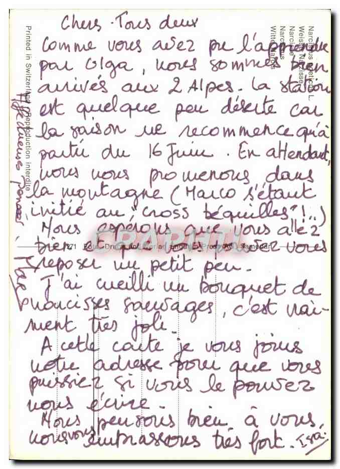 CPM Fantaisie Fleurs Narcisse — Rückseite