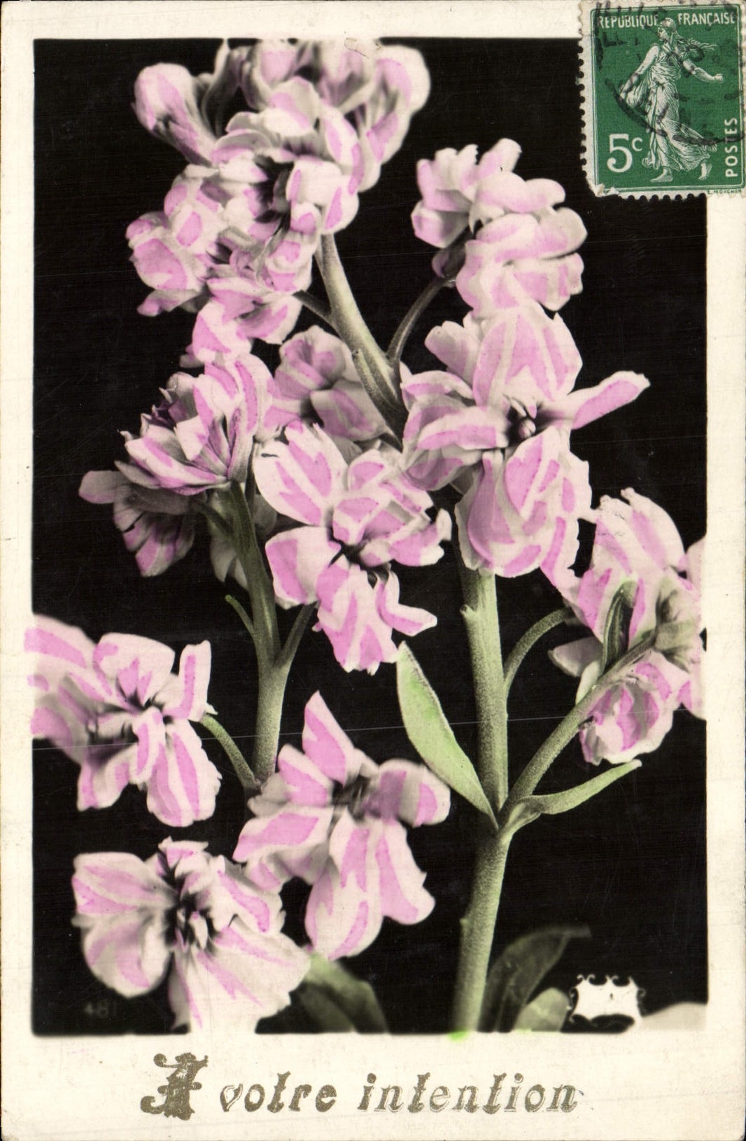 CPA Fantaisie Fleurs 