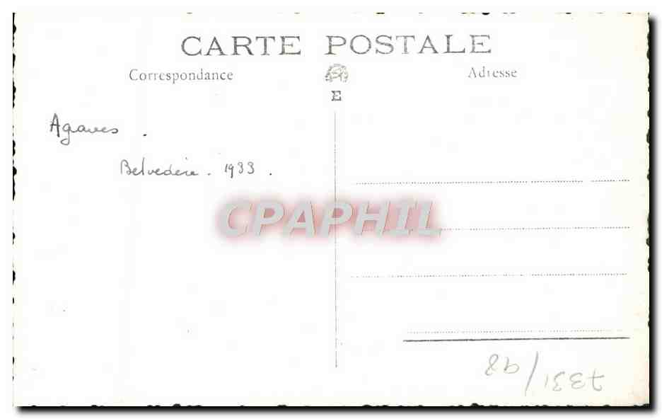 CPA Fantaisie Fleurs Agaves Belvedere 1933 — Verso