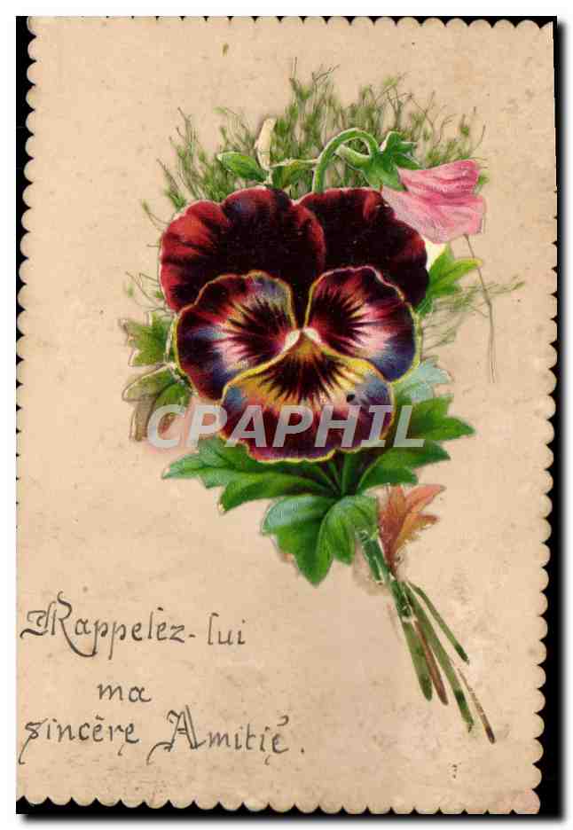 CPA Fantaisie Fleurs 