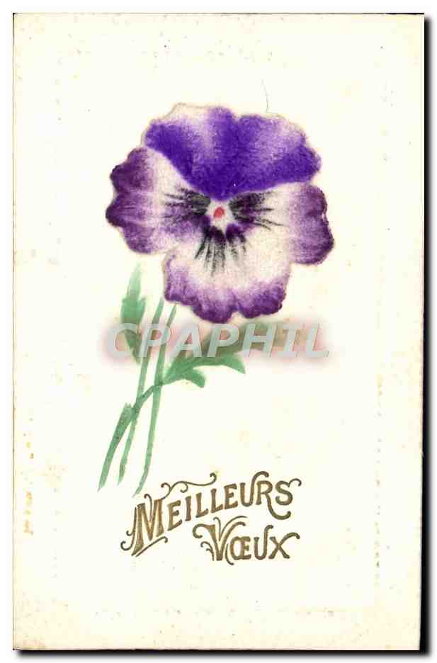 CPA Fantaisie Fleurs 