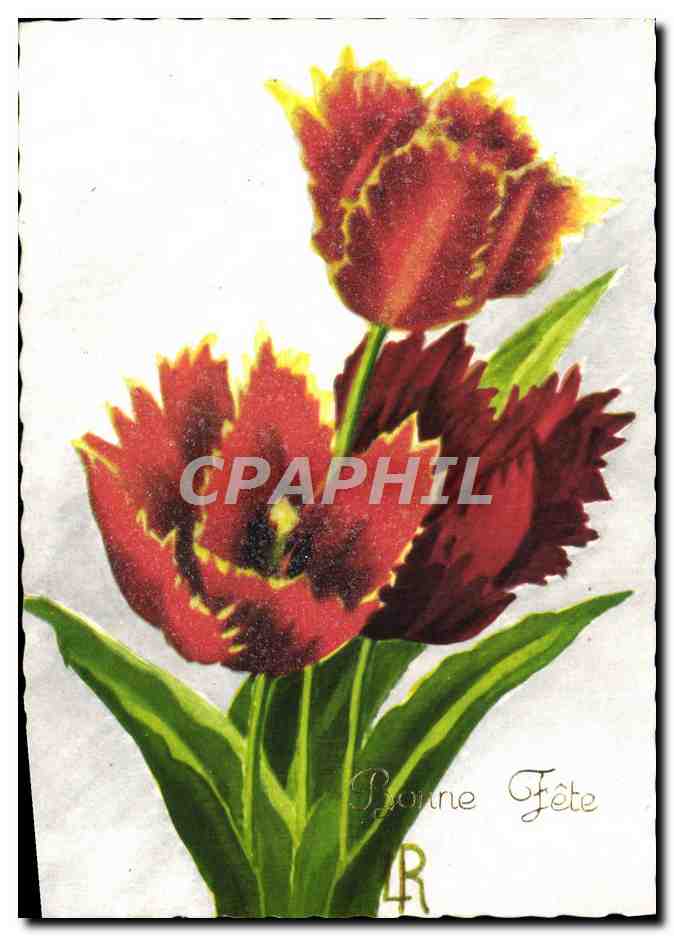 CPM Fantaisie Fleurs 