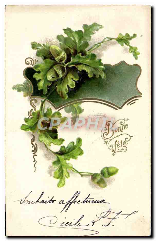 CPA Fantaisie Fleurs 