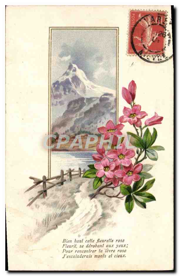 CPA Fantaisie Fleurs Montagne