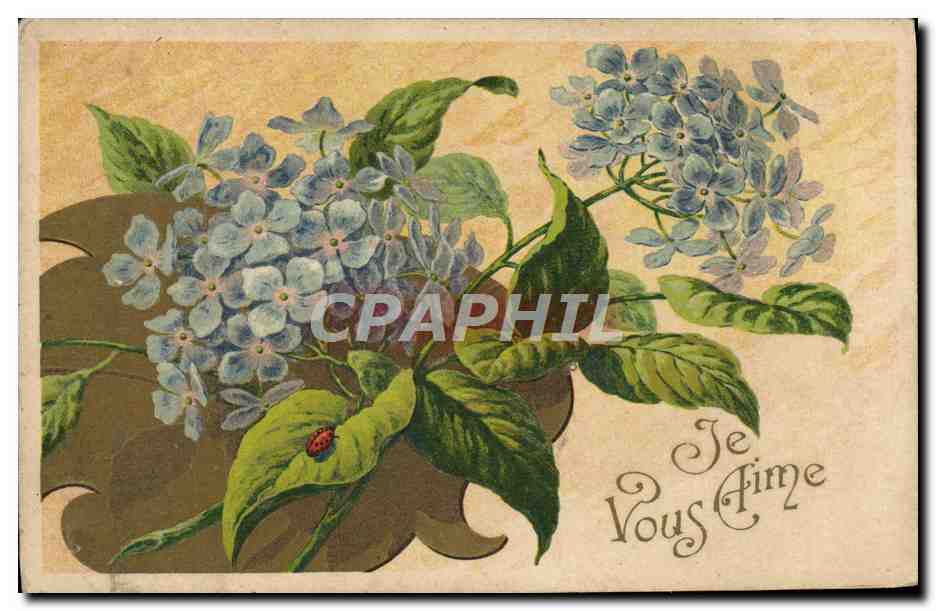 CPA Fantaisie Fleurs Insecte Coccinelle