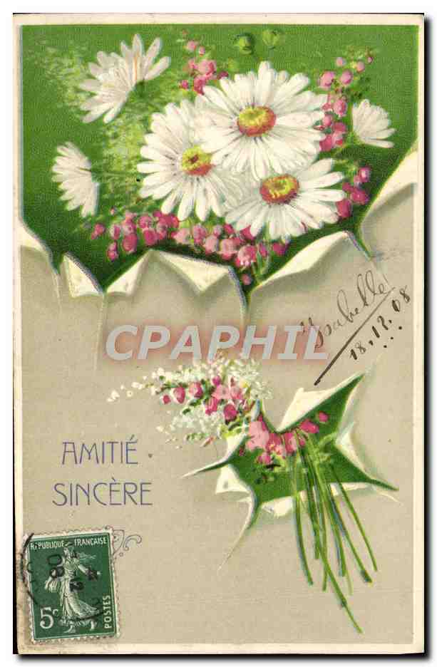 CPA Fantaisie Fleurs Paquerettes