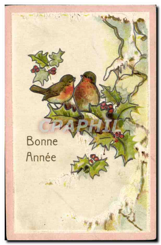CPA Fantaisie Fleurs Houx Oiseaux