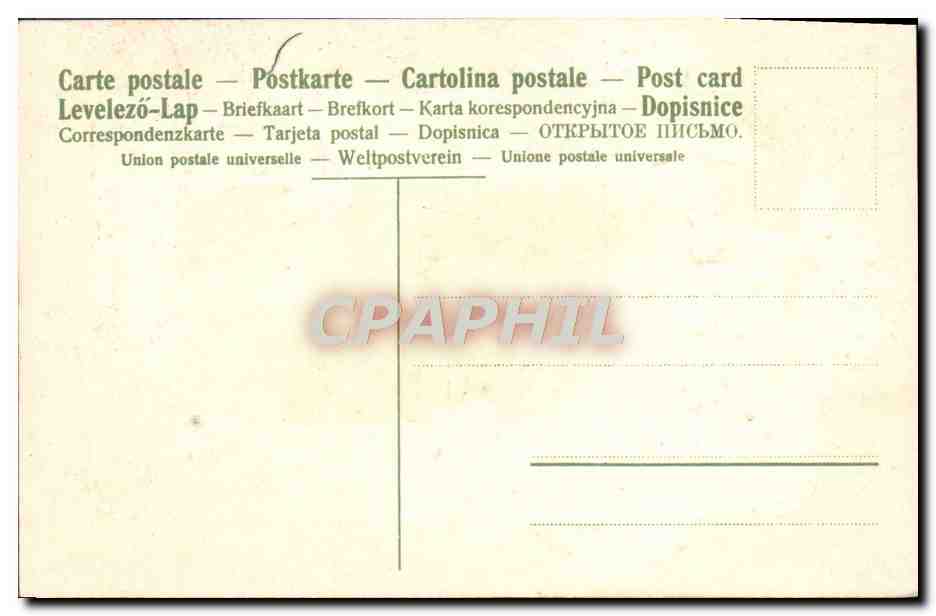 CPA Fantaisie Fleurs Vigne — Verso