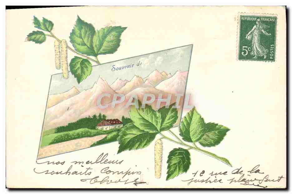 CPA Fantaisie Fleurs Feuilles Montagne