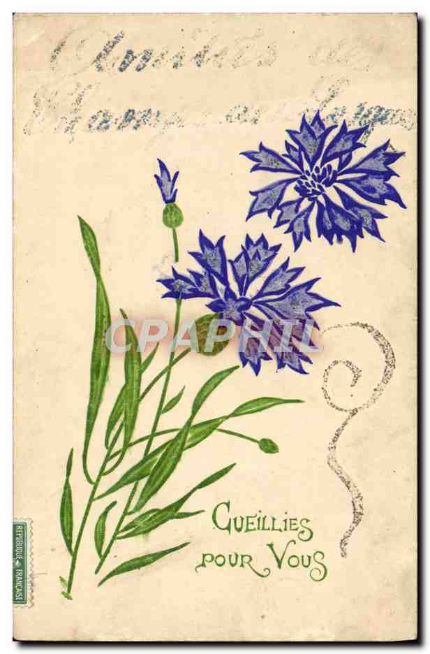 CPA Fantaisie Fleurs 