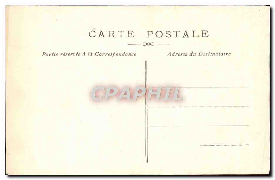 CPA Fantaisie Fleurs Grenouille Cygne Hirondelle — Verso