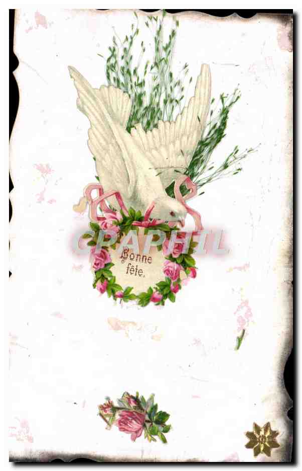 CPA Fantaisie Fleurs Colombe 