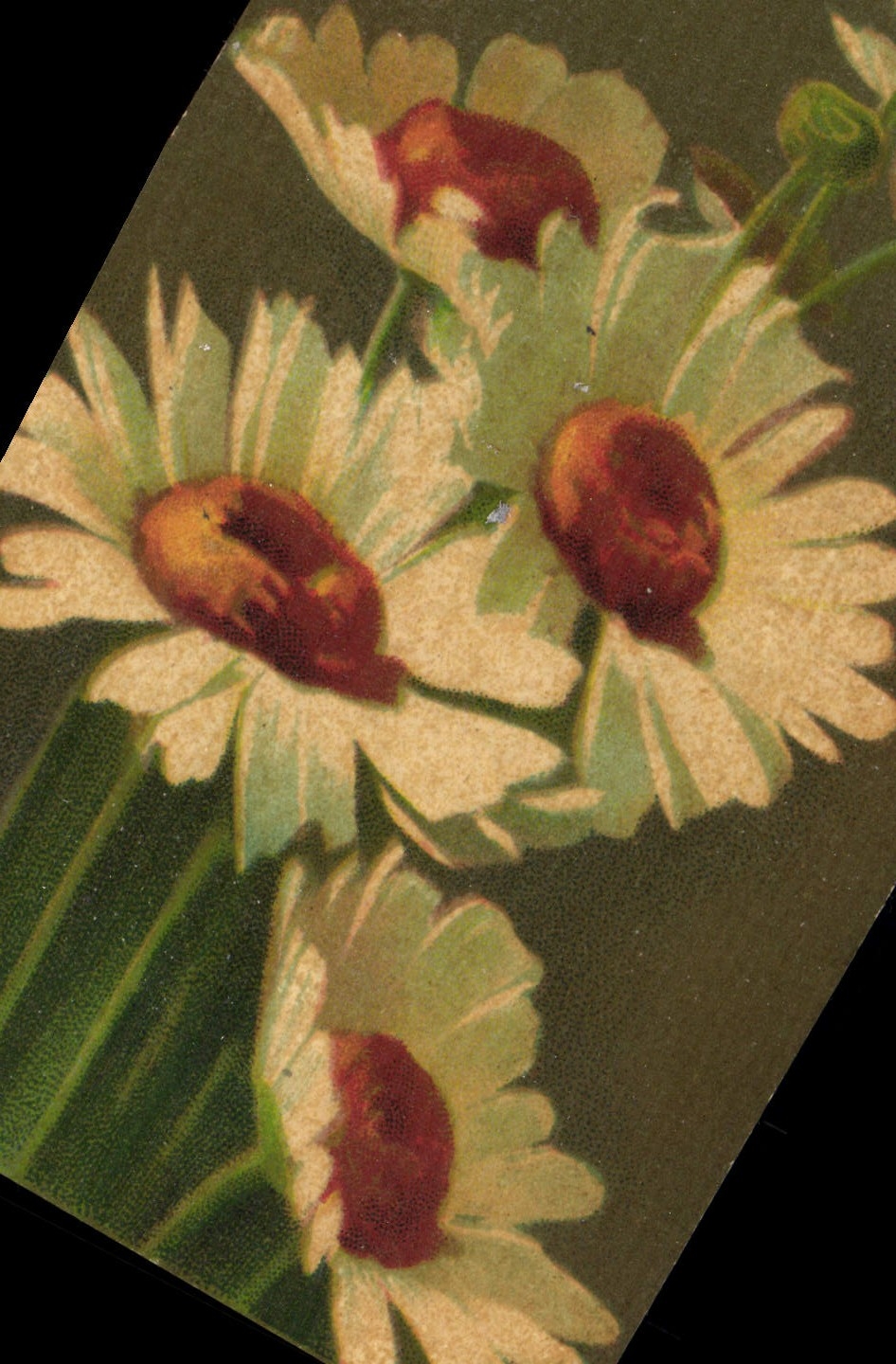 CPA Fantaisie Fleurs 