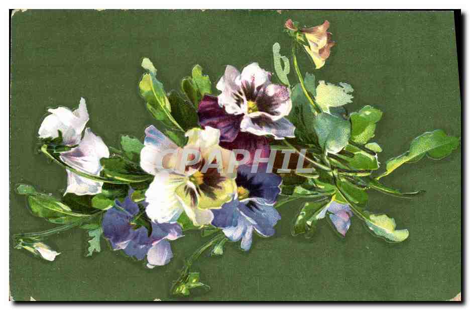 CPA Fantaisie Fleurs 