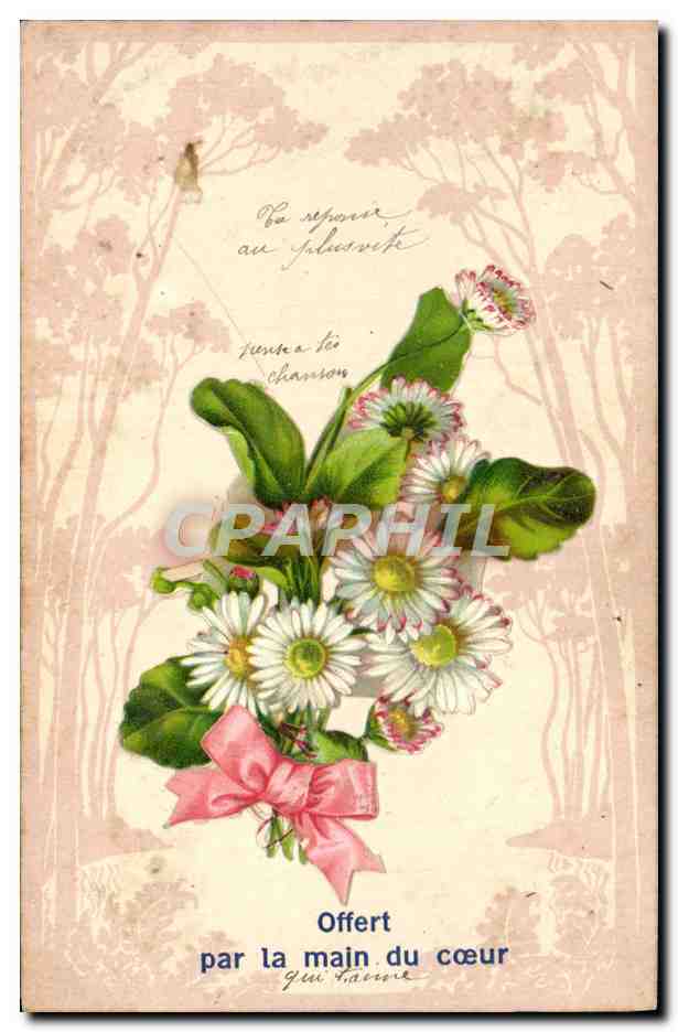 CPA Fantaisie Fleurs 