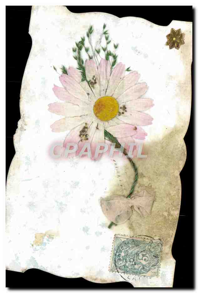 CPA Fantaisie Fleurs