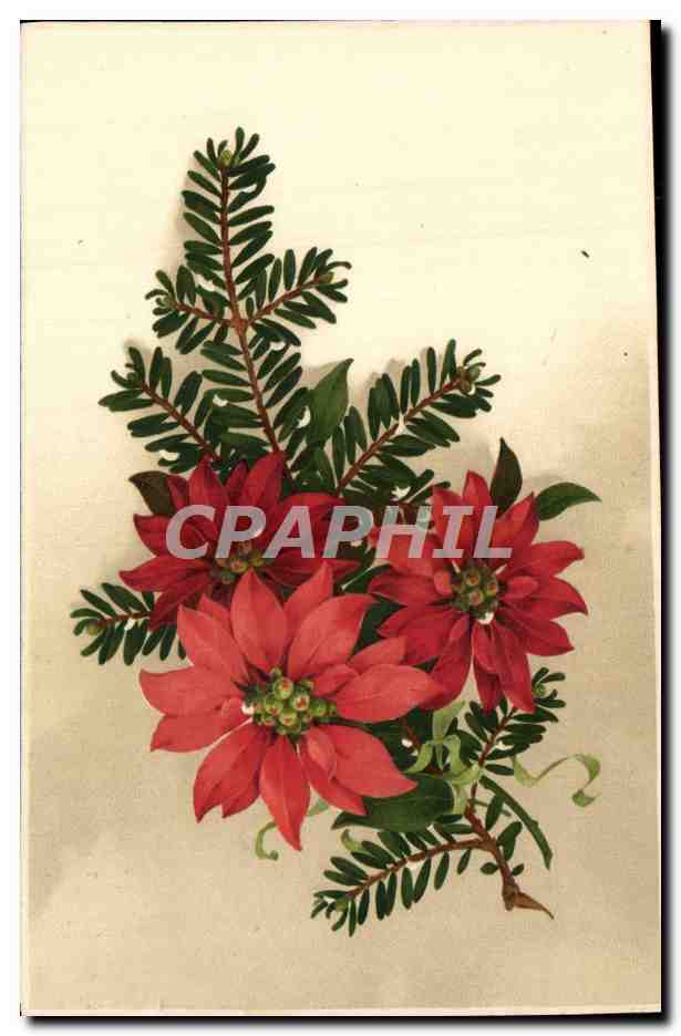 CPA Fantaisie Fleurs