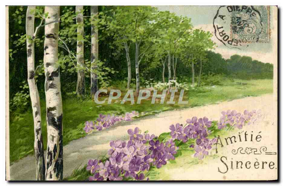 CPA Fantaisie Fleurs