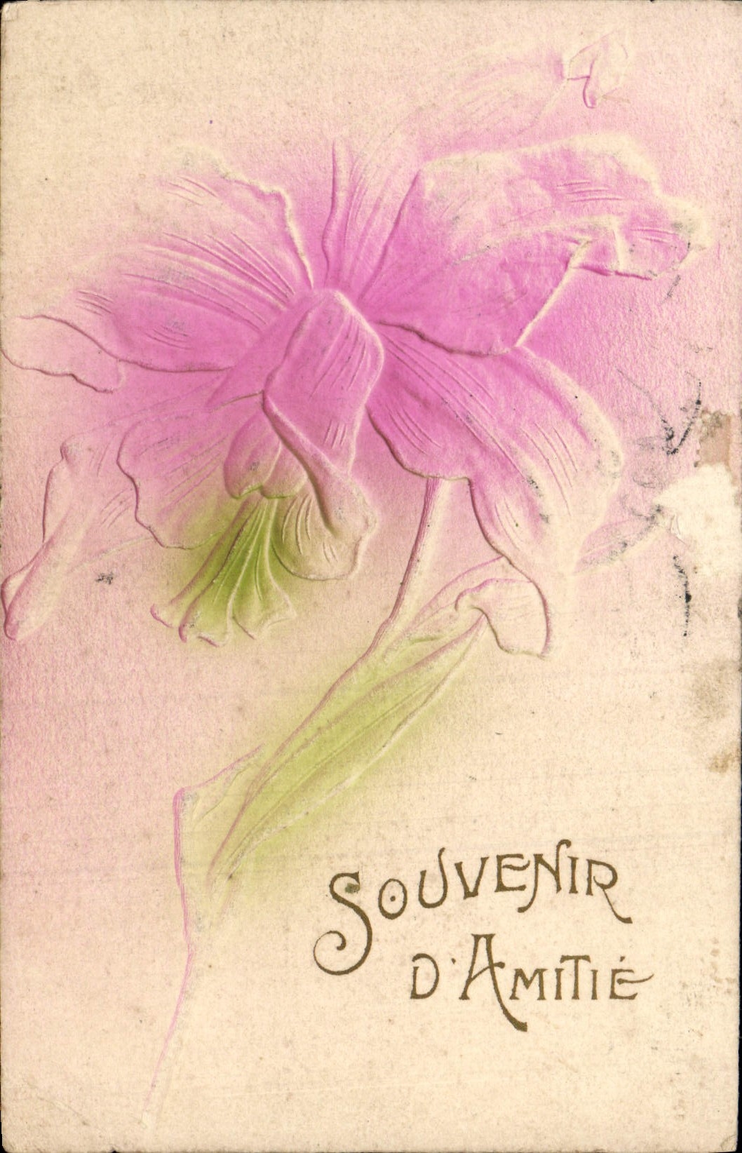 CPA Fantaisie Fleurs Souvenir d'Amitie