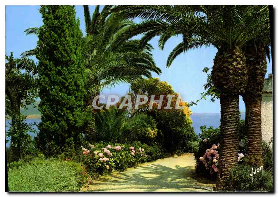 CPM Couleurs Et Lumiere De France La Cote d'Azur Miracle De La Nature Jardin Fleuri