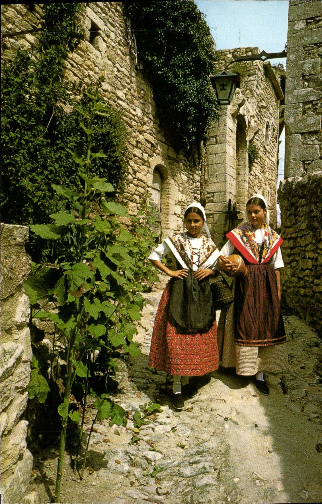 CPM Les Belles Images de Provence Retour de promenade Folklore