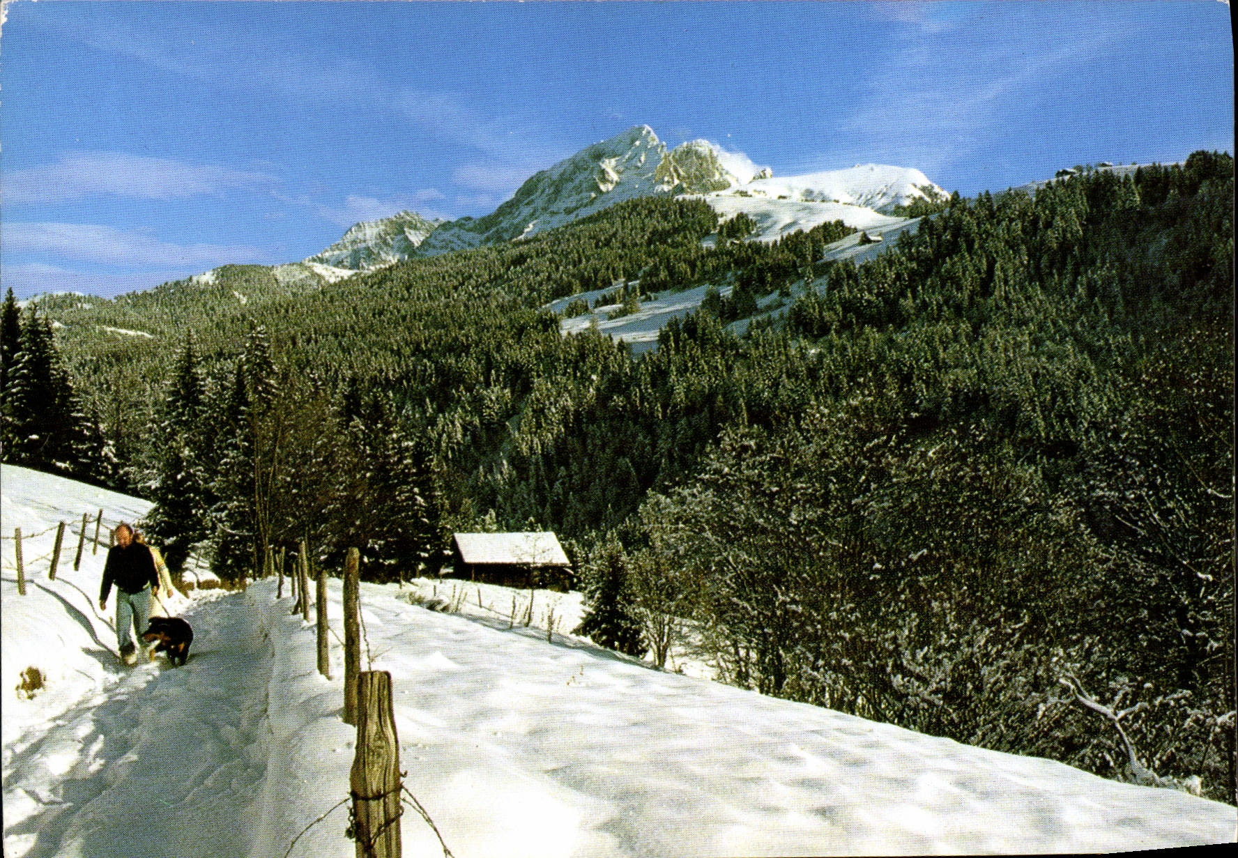 CPM Images de nos Montagnes En Promenade Chien