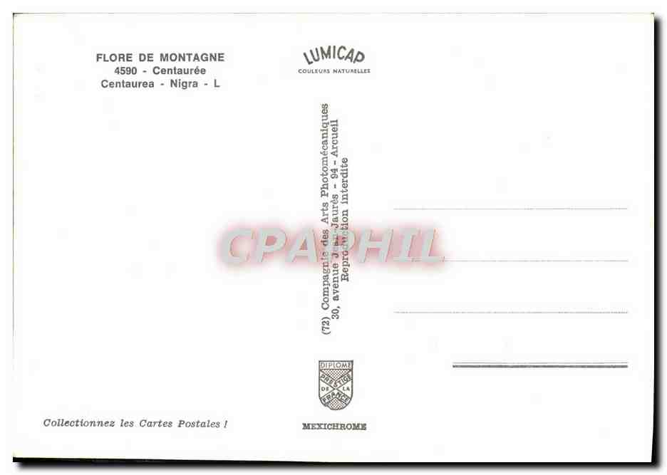 CPM Flore De Montagne Centauree Centaurea Nigra — Verso