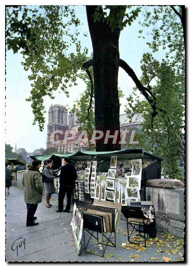 CPM Paris Bouquinistes des quais de la Seine Notre Dame