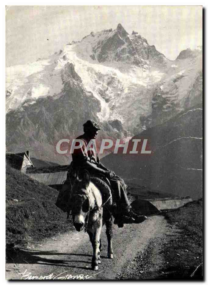 CPM Homme en montagne Ane Mule