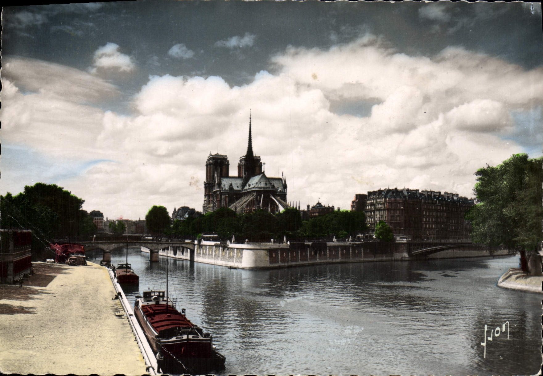 CPM Paris La Cite Cathedrale Notre Dame 