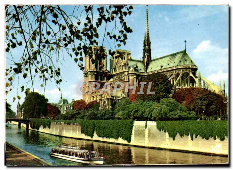 CPM Paris Cathedrale De Notre Dame vue du quai de Montebello 