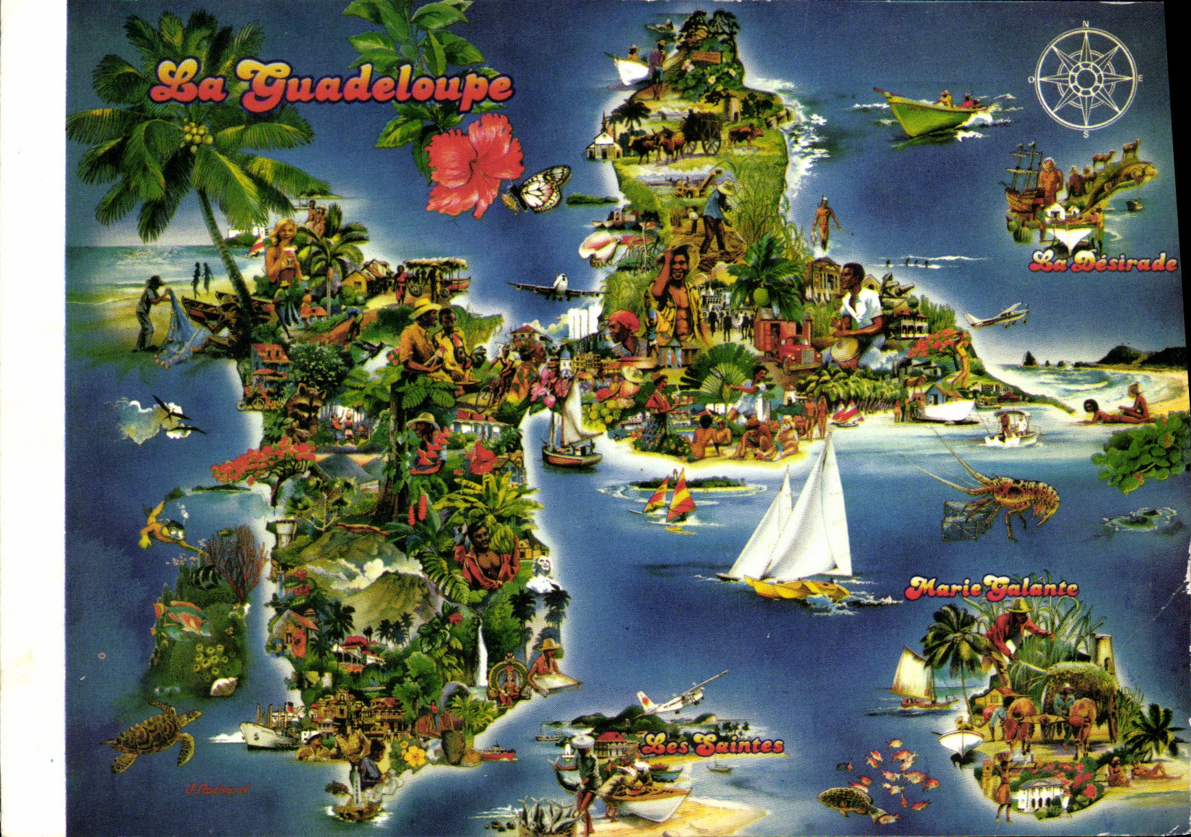 CPM Guadeloupe Tortue La Desirade Marie Galante Les Saintes
