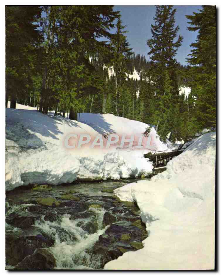 CPM Riviere dans la neige