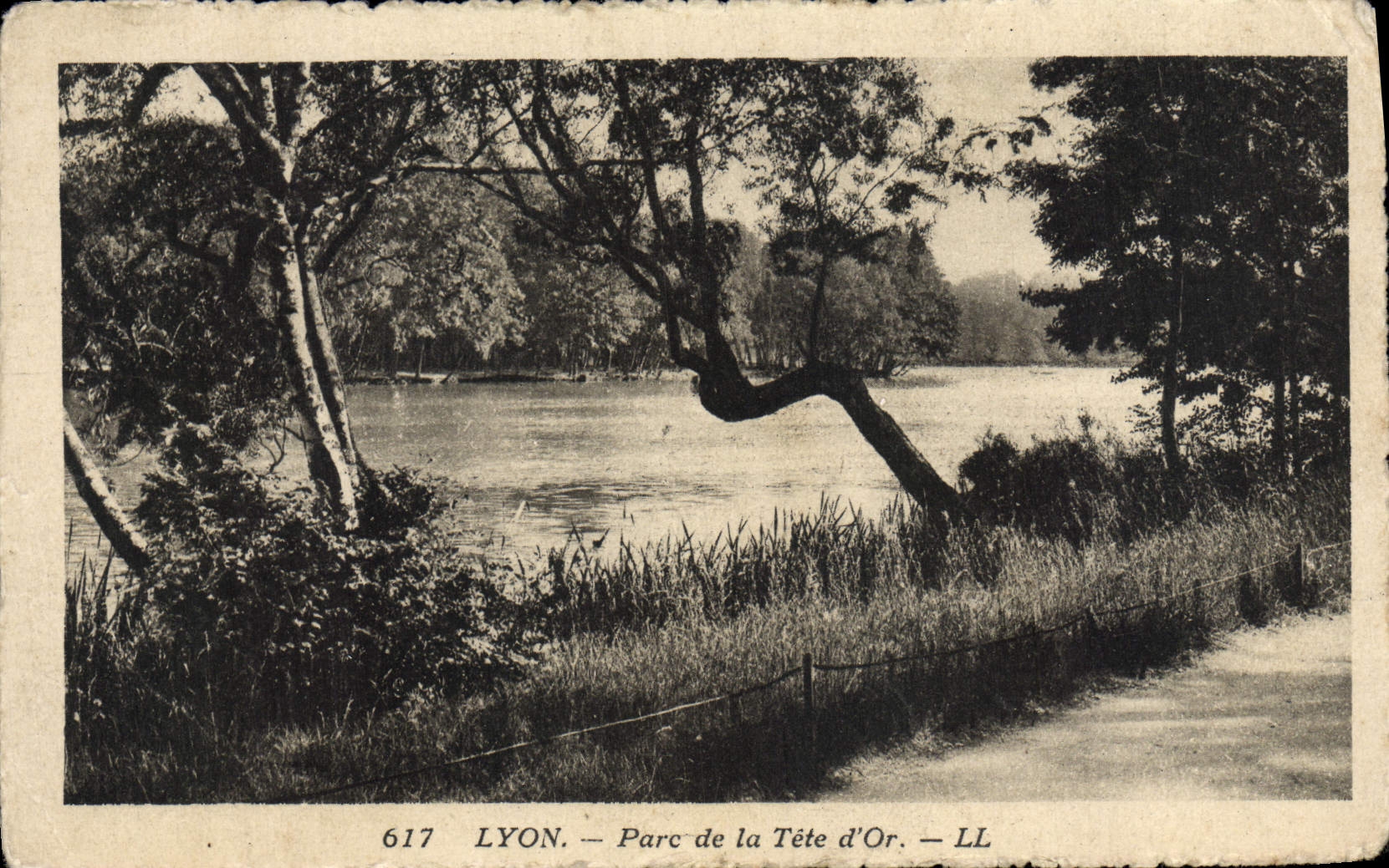 LYON — Parc de la Tête d'Or — LL — n° 617